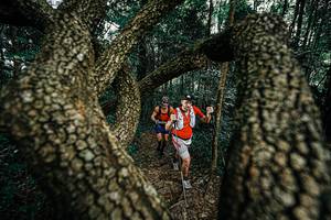 BIB: 
                            <button type="button" onclick="openModal(25392871)" class="btn btn-primary btn-sm float-right btn-popup" data-toggle="modal" data-target=".modal-high-quality">
                        <i class="fas fa-shopping-cart"></i> Add to Cart
                    </button>
                                            <button type="button" onclick="isThisMe(25392871, true)" class="btn btn-success btn-sm float-right btn-popup btn-isme hidden" data-toggle="tooltip" data-placement="bottom" title="นี่คือรูปของคุณใช่ไหม คลิกที่นี่เพื่อเอาเข้าอัลบั้ม">
                        <i class="fas fa-plus"></i> Add to album
                    </button>
                    <button type="button" onclick="isThisMe(25392871, false)" class="btn btn-warning btn-sm float-right btn-popup btn-isnotme hidden">
                        <i class="fas fa-ban"></i> Remove from album
                    </button>